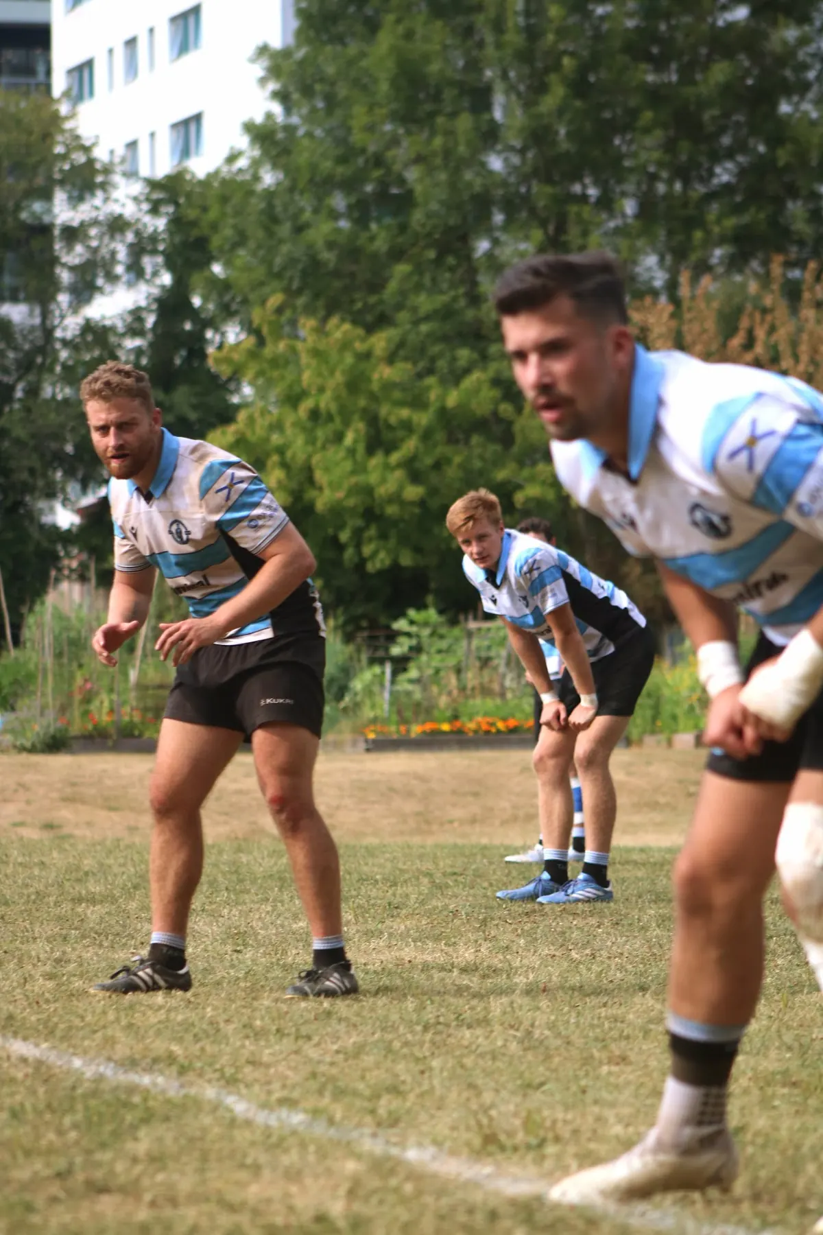 Tars players set in a defensive line